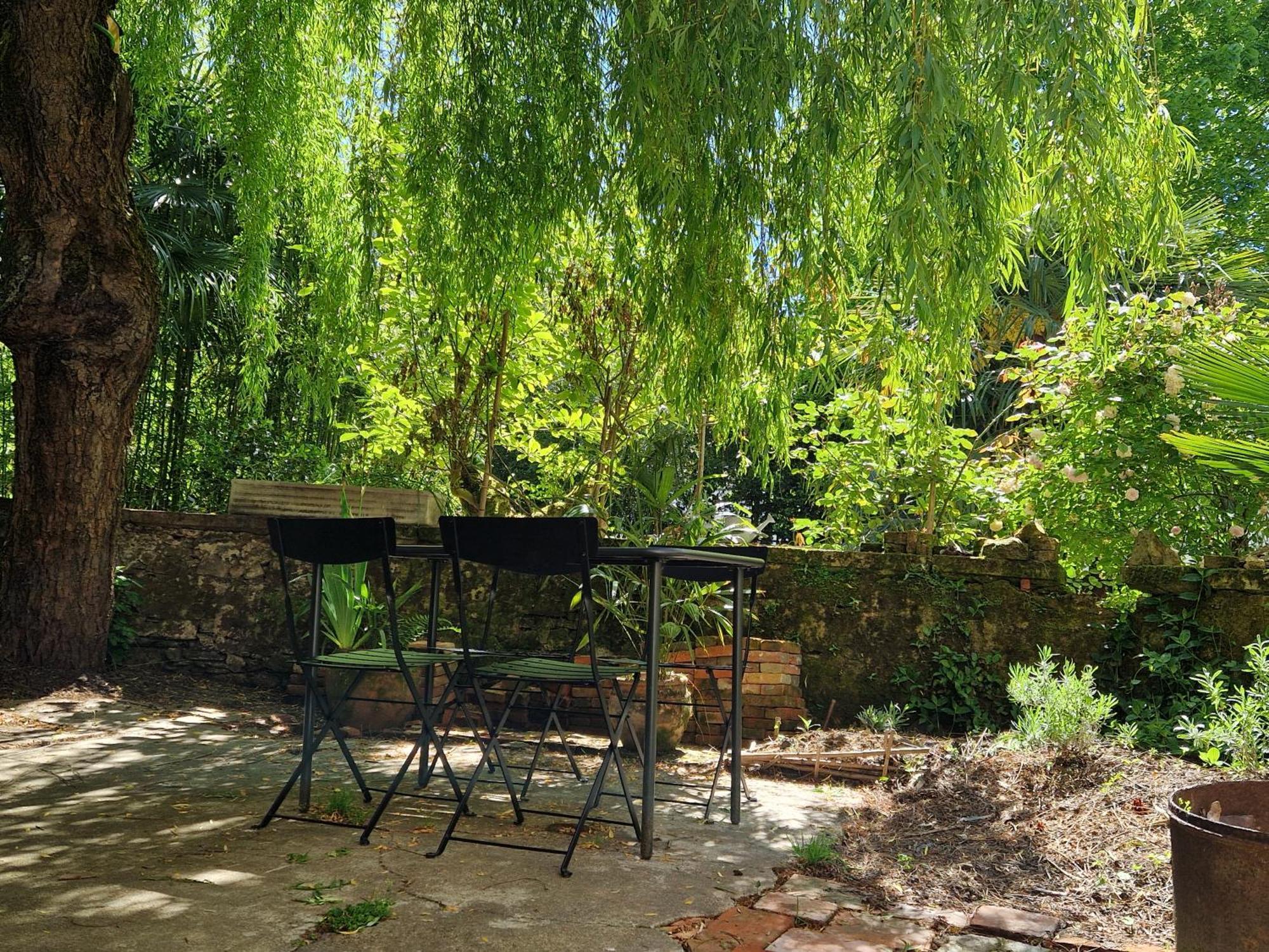Homestay Le Jardin Aux Camelias La Roche-sur-Yon